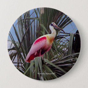 Badge Rond 10 Cm Bouton Roseate Spoonbill
