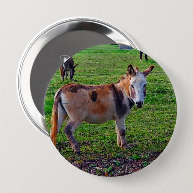 Badge Rond 10 Cm Calico Donkey (Devant & derrière)