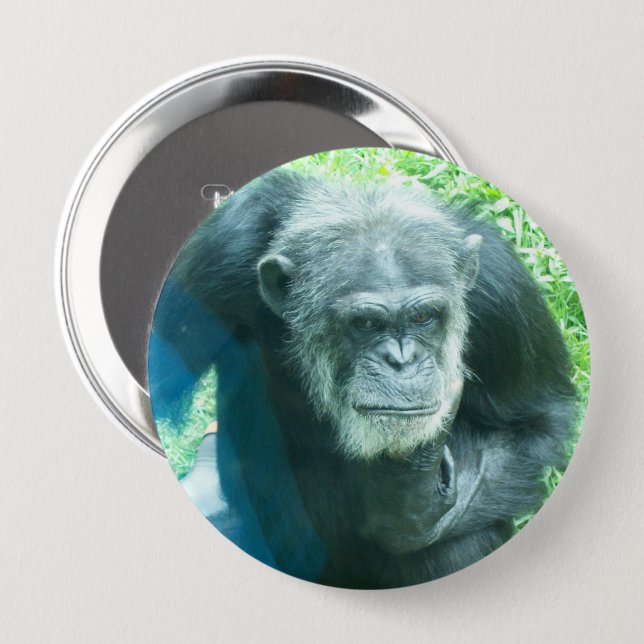 Badge Rond 10 Cm Chimpanzé (Devant & derrière)