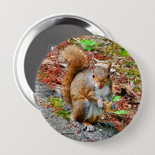 Badge Rond 10 Cm Écureuil mangeant de la nourriture