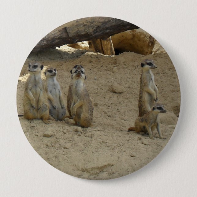 Badge Rond 10 Cm Famille Terman (Devant)