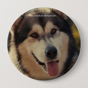 Badge Rond 10 Cm Insigne