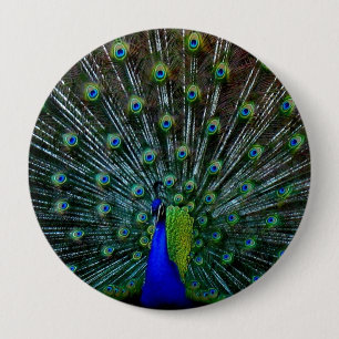 Badge Rond 10 Cm Pin "de plumage de paon"