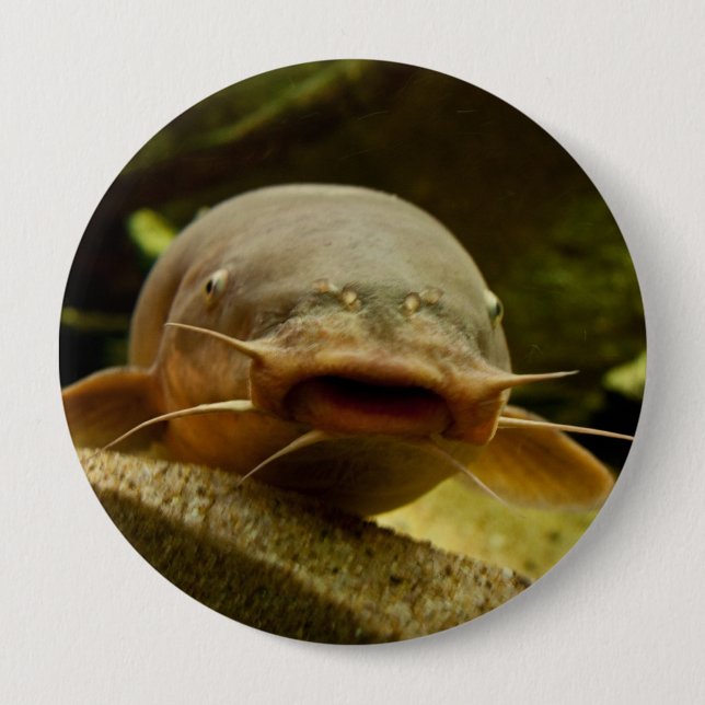 Badge Rond 10 Cm Poisson-chat électrique (Devant)