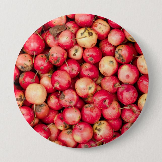 Badge Rond 10 Cm Pommes biologiques (Devant)