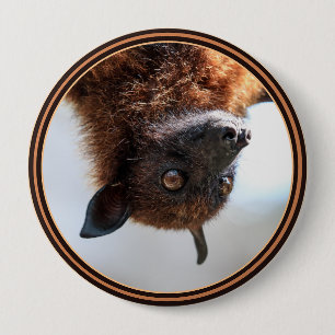 Badge Rond 10 Cm Renard volant