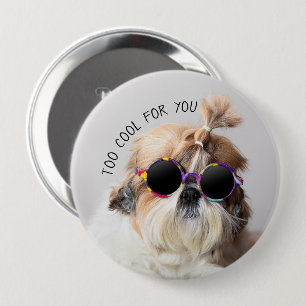 Badge Rond 10 Cm Shih Tzu Too Cool pour vous Lunettes de soleil Pho