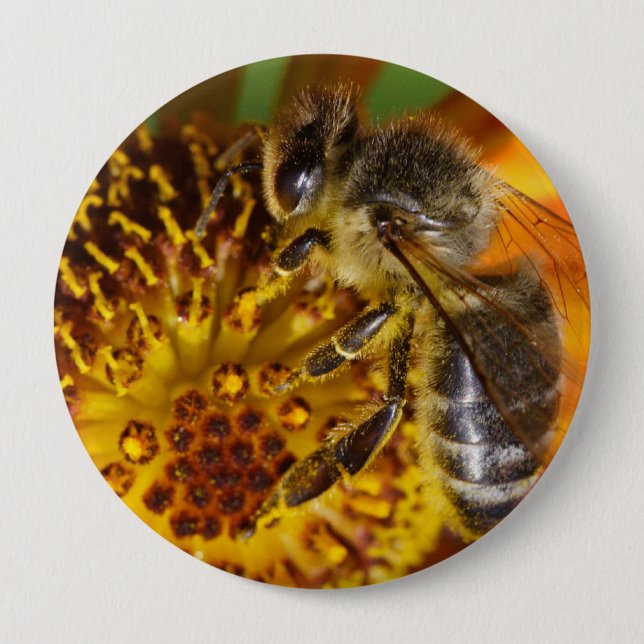 Badge Rond 10 Cm Western Honey Bee Macro photo (Devant)
