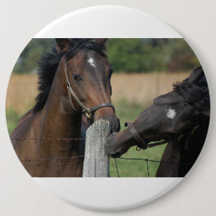 Badge Rond 15,2 Cm 2 Chevaux mâcher une clôture