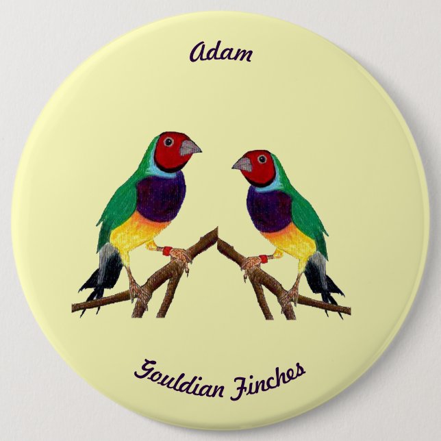 Badge Rond 15,2 Cm ADAM ~ Gouldian Finch ~ Personnalisé ~ (Devant)