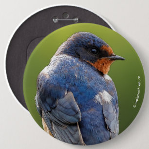 Badge Rond 15,2 Cm Beautiful Barn Swallow