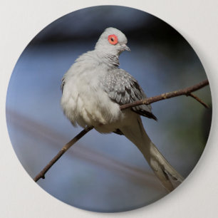 Badge Rond 15,2 Cm Belle douceur de Diamond Dove