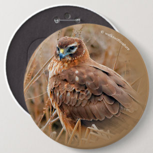Badge Rond 15,2 Cm Belle harceleuse du Nord dans le marais
