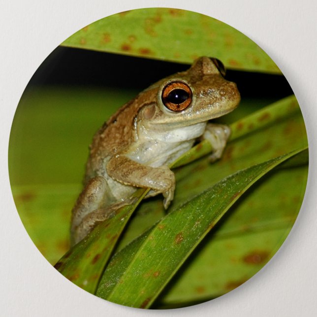 Badge Rond 15,2 Cm Bouton de sourire de grenouille d'arbre (Devant)