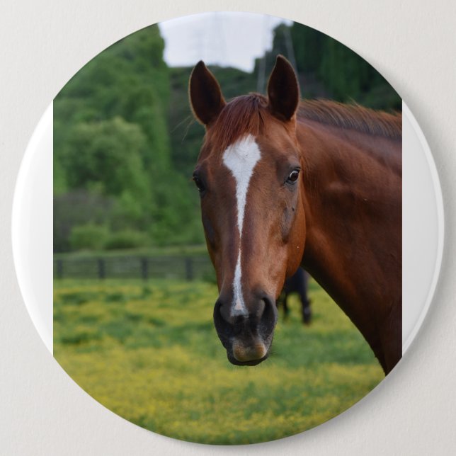 Badge Rond 15,2 Cm bouton face (Devant)