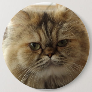 BADGE ROND 15,2 CM BOUTON PHOTO CHAT PERSONNALISÉ GRAND