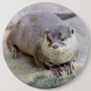Badge Rond 15,2 Cm Button with small-clawed otter