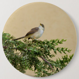 Badge Rond 15,2 Cm Carte postale Sparrow