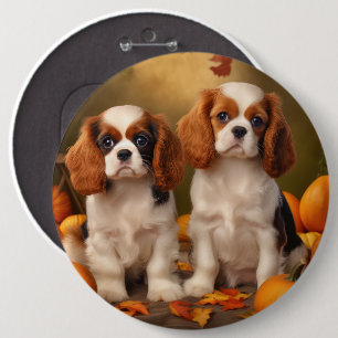 Badge Rond 15,2 Cm Cavalier King Charles Spaniel Chiot Citrouille d'a