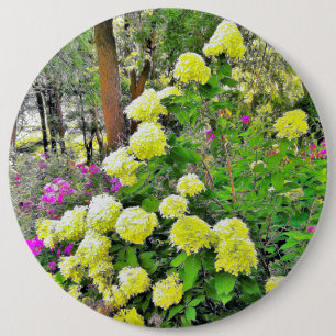 Badge Rond 15,2 Cm Chartreuse Vert Limelight Hydrangea Garden