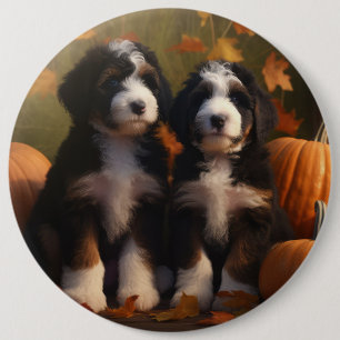 Badge Rond 15,2 Cm Chiots Bernedoodle Délice d'Automne Citrouille