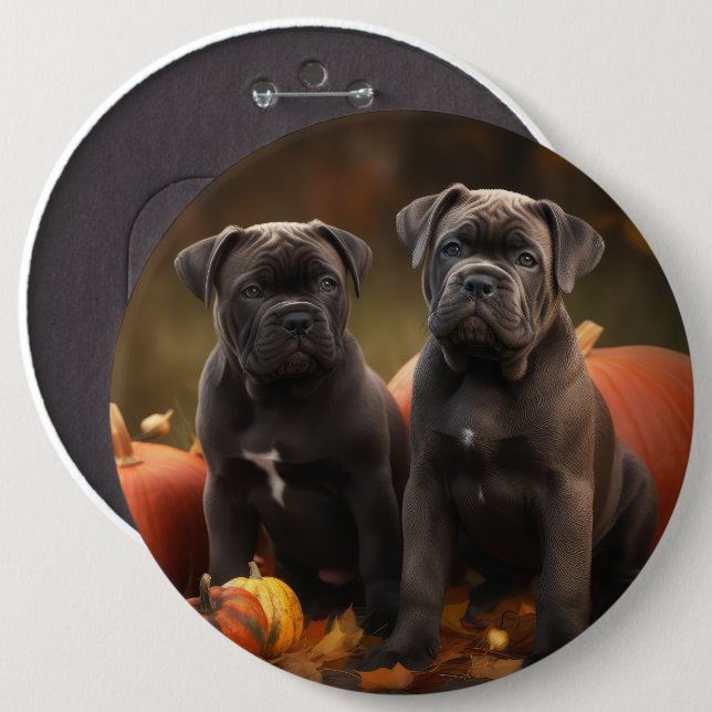 Badge Rond 15,2 Cm Chiots Cane Corso Délice d'Automne Citrouille (Devant & derrière)