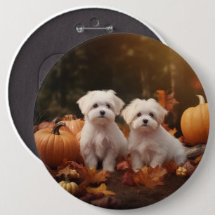 Badge Rond 15,2 Cm Chiots Maltais Automne Delight Pumpkin