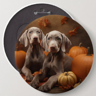 Badge Rond 15,2 Cm Chiots Weimaraner Automne Délice Citrouille