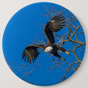 Badge Rond 15,2 Cm Chute de l'Aigle royal