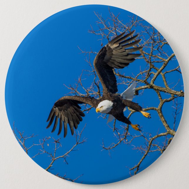 Badge Rond 15,2 Cm Chute de l'Aigle royal (Devant)