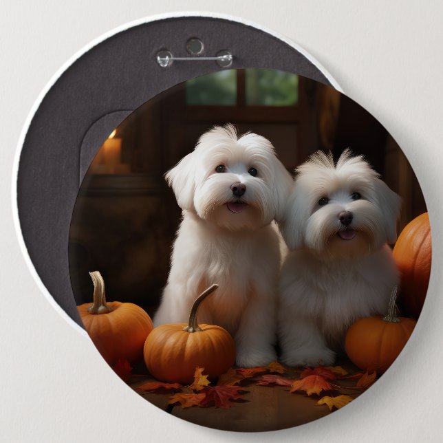Badge Rond 15,2 Cm Coton De Tulear Chiot Automne Citrouille délice (Devant & derrière)