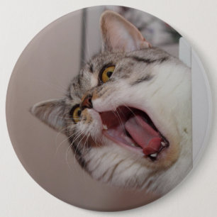 Badge Rond 15,2 Cm Criant British Shorthair