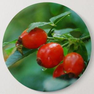 Badge Rond 15,2 Cm Cynorhodon après la pluie