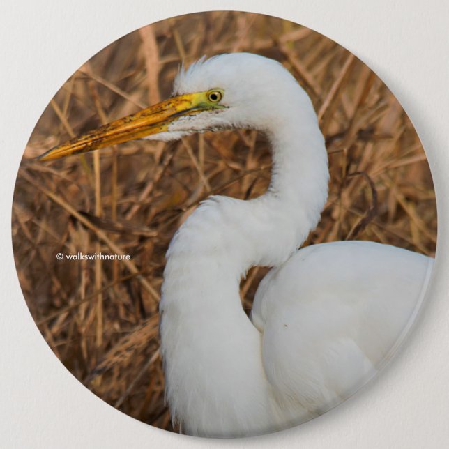 Badge Rond 15,2 Cm Elegant Great Egret in the Reeds (Devant)