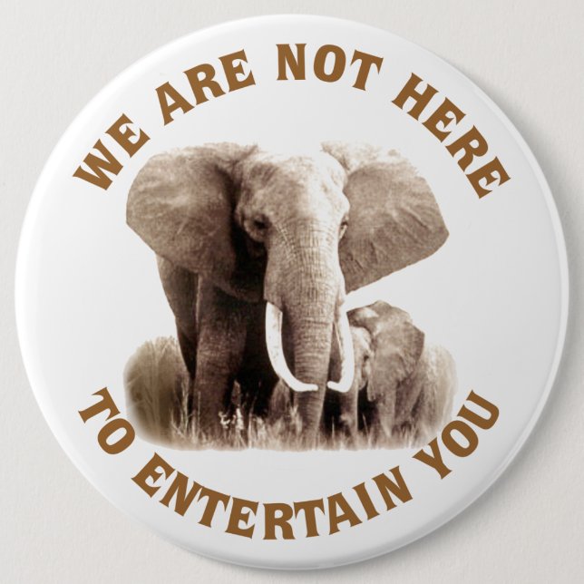 Badge Rond 15,2 Cm Elephats méritent le respect (Devant)