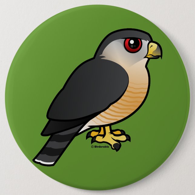 Badge Rond 15,2 Cm faucon Pointu-shinned (Devant)