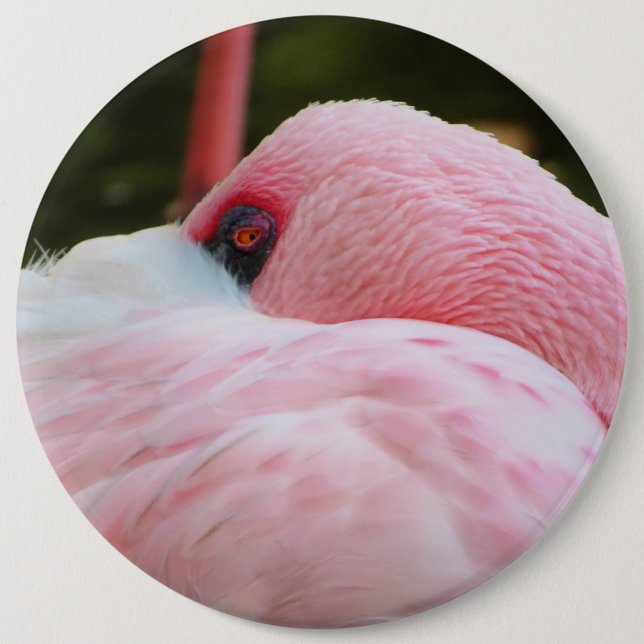 Badge Rond 15,2 Cm Flamant rose (Devant)