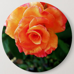 Badge Rond 15,2 Cm Fleur de rose orange