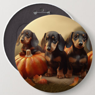 Badge Rond 15,2 Cm Jeune Dachshund Délice d'Automne Citrouille