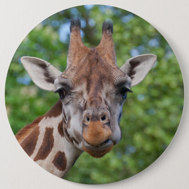 Badge Rond 15,2 Cm Jolie Giraffe Portrait (Devant)