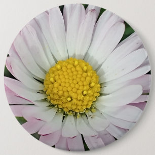Badge Rond 15,2 Cm Jolie marguerite