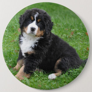 Badge Rond 15,2 Cm Jumbo teint de chien photo personnalisé, aimez vo