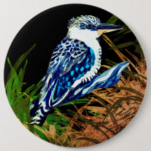 Kookaburra