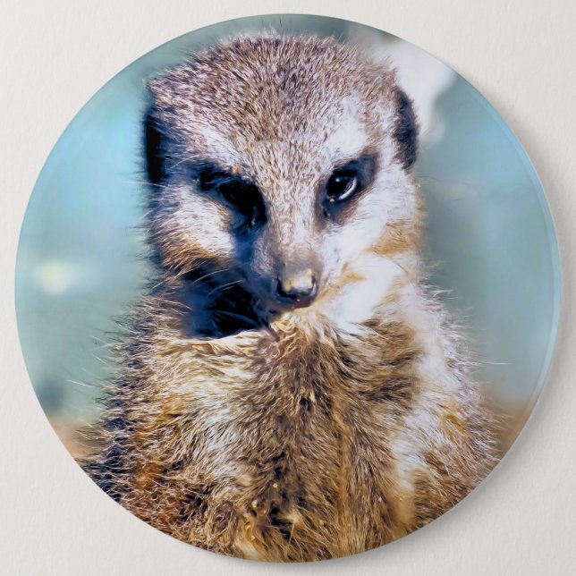 BADGE ROND 15,2 CM MEERKAT (Devant)