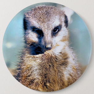 BADGE ROND 15,2 CM MEERKAT