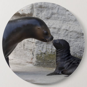 Badge Rond 15,2 Cm Otaria flavescens