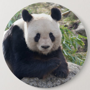 Badge Rond 15,2 Cm Panda Géant Amical
