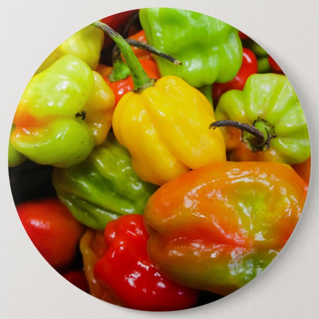 Badge Rond 15,2 Cm Poivrons écossais Bonnet Chili (Devant)