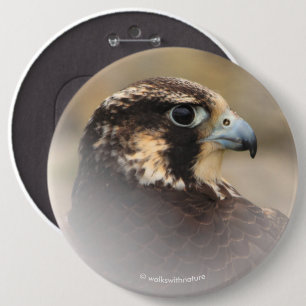 Badge Rond 15,2 Cm Profil d'un faucon pèlerin