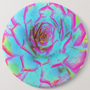 Badge Rond 15,2 Cm Rosette de Sedum Succulent Rose et Bleu Chaud